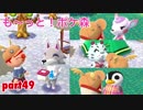 □■も〜っと！ポケ森を実況プレイ part49【冬の新キャンパー】