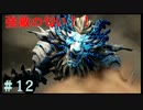 【実況】神サマいただきます。　12皿目　【GE3】