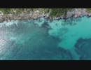 Clear Ocean Water　嶋田貴弘