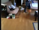 バックからレッグスルーからのレイアップ