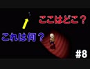 【ゲーム実況】どこを冒険していると思いますか…？【ワンダートレック】#8