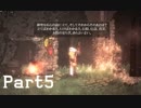 【Salt and Sanctuary】Part5 ボスラッシュ、そして新境地へ【実況】