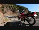 2018 Salvage Touring Report 4