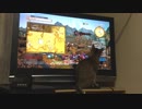 仔猫と生活#55「ゲームに参戦？」