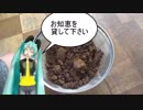 【素人養蜂　Part41】冬に向けて準備します