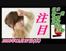 19-A 日本第一党 京都政策周知活動。菜々子の独り言　2018年12月27日(木）