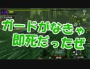【MHXX】とある企業の狩猟生活　13日目【実況】