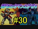 【縛り実況】チップトレーダー信者がぶちうるさく実況：Part30【ロックマンエグゼ４:ブルームーン】