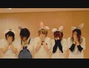 【チームISKW】『Rabbit』踊ってみた