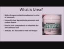 Use Urea to Kill Your Nail Fungus