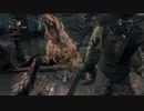 Bloodborne プレイ記録 part06