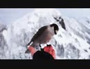［弾き語り］SNOW
