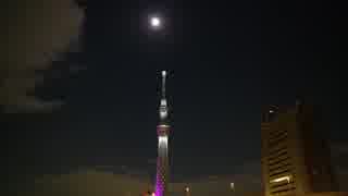 星が瞬くこんな夜に