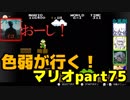 【スーパーマリオブラザーズ】色弱が行く！スーパーマリオpart75【感度５億】