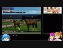 【ギャロップレーサー8】普通プレイで何も目指さない 第２７回