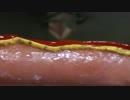 【食べる動画】BIGポークフランク《セブンイレブン》【咀嚼音】