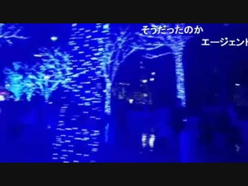 東京23区 クリスマスイルミネーション配信
