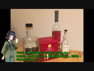 イギリス在住セイカさんのクリスマス　マルタ旅行 part1