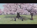 【戦国無双4 Empires】ゆかりと葵の戦国記　最終巻