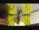 2019年元日 謹賀新年猫「お祈りにゃ！」