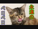 雨を呼ぶ猫