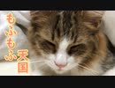 布団の中でおやすみなさい…zzz