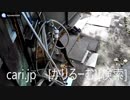 2018年12月9日猫ハナ(はな)の動画。 1812091201KVID0245logo