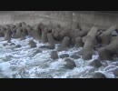 テトラポッツ　波