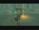 【実況】ゼルダの伝説BotW 十数年ぶりにゼルダをプレイPart55