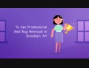 OCP Bed Bug Exterminator Brooklyn NY - Bed Bug Removal