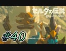 【ゼルダ実況】パーヤさんLOVEしちゃってんねぇ  #40 【ゼルダの伝説ブレスオブザワイルド】