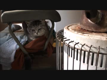 焚火用ドラム缶　牧場暮らし