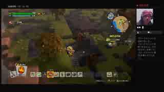 ネタばれ注意 30 かわきのつぼ で水が汲めない問題発生 ニコニコ動画