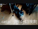 2018年12月24日猫スズ(すず)の動画。1812241910KVID0291logo