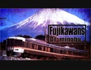 Fujikawans