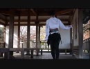 【こと】花瓶に触れた 踊ってみた