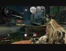 【COD BO4】装備頼りの対人戦57【TDM】