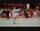武道 - 太极拳先生 Douwe Geluk Tai Chi Apeldoorn ドイツ  Dragon Cup 2018 Wolfsburg 3倍金メダル