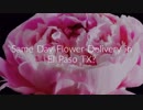 Same Day Flower Delivery El Paso TX | (915) 229-5477