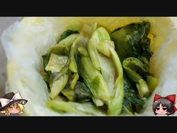 ゆっくりの田舎と自然　２９話「冬の野菜は？」