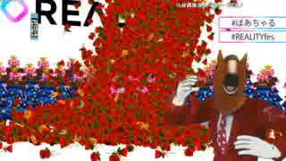 14ばあちゃる