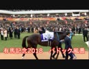 有馬記念　2018年　パドック風景　オジュウチョウサン レイデオロ ブラストワンピース