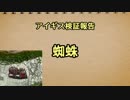 アイギス検証報告 28.蜘蛛