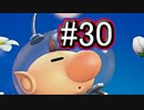 【スマブラSP】アドベンチャーモード灯火の星#30