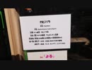 新入りのカピバラさん