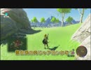 【ゼルダの伝説BotW】ポンコツ勇者の珍道中Pert4