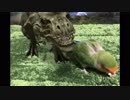 鳥｢ちょっと帰省しにジュラ紀行ってくるわ｣