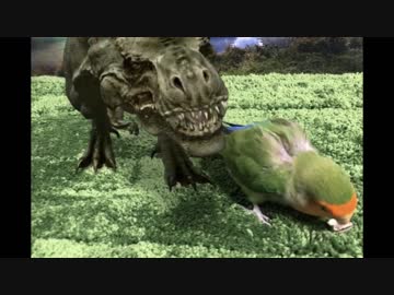 鳥｢ちょっと帰省しにジュラ紀行ってくるわ｣