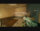 【Rainbow Six Siege】ぼんぼんのくそエイム事情　part28