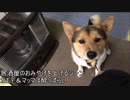 ワンタと焼き鳥　日替わりワンタ